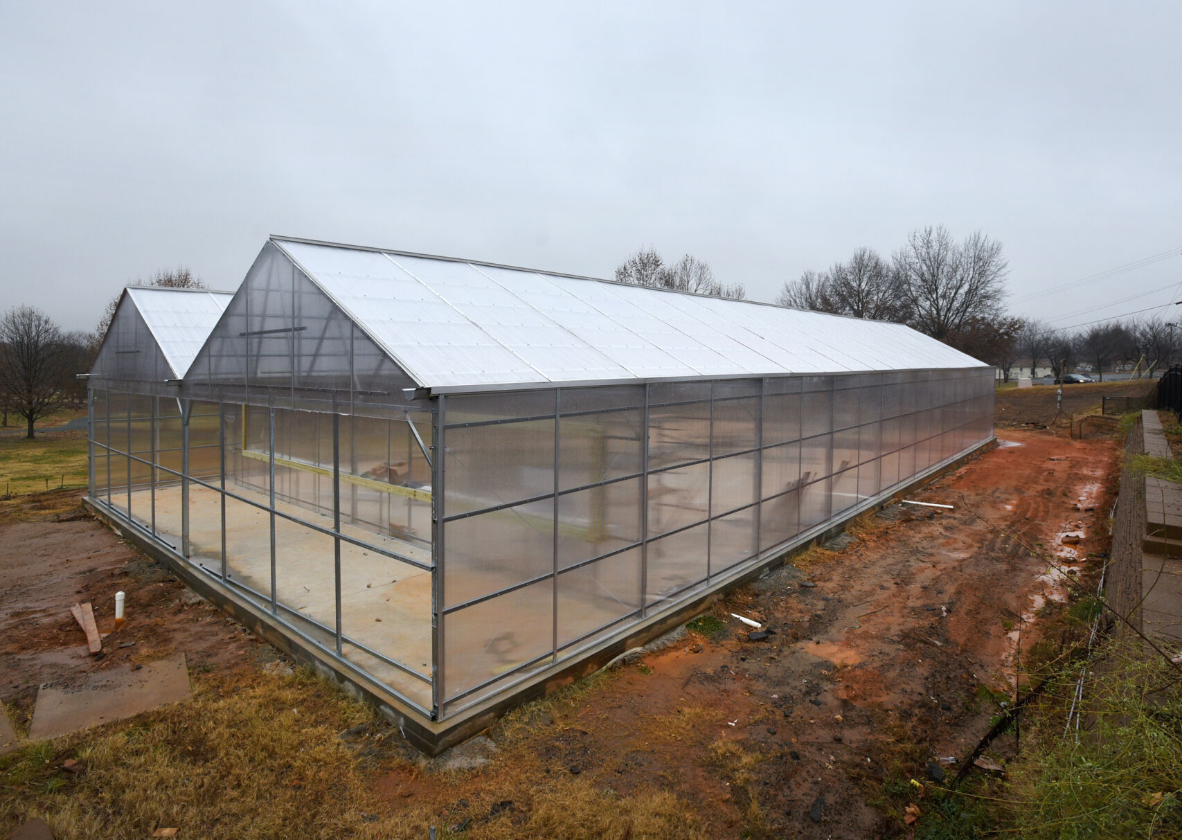 Kimberley Park greenhouse